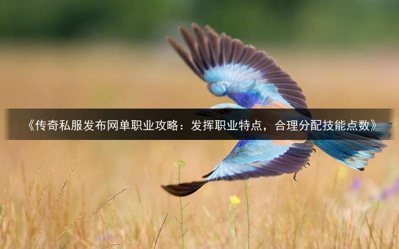 《传奇私服发布网单职业攻略：发挥职业特点，合理分配技能点数》